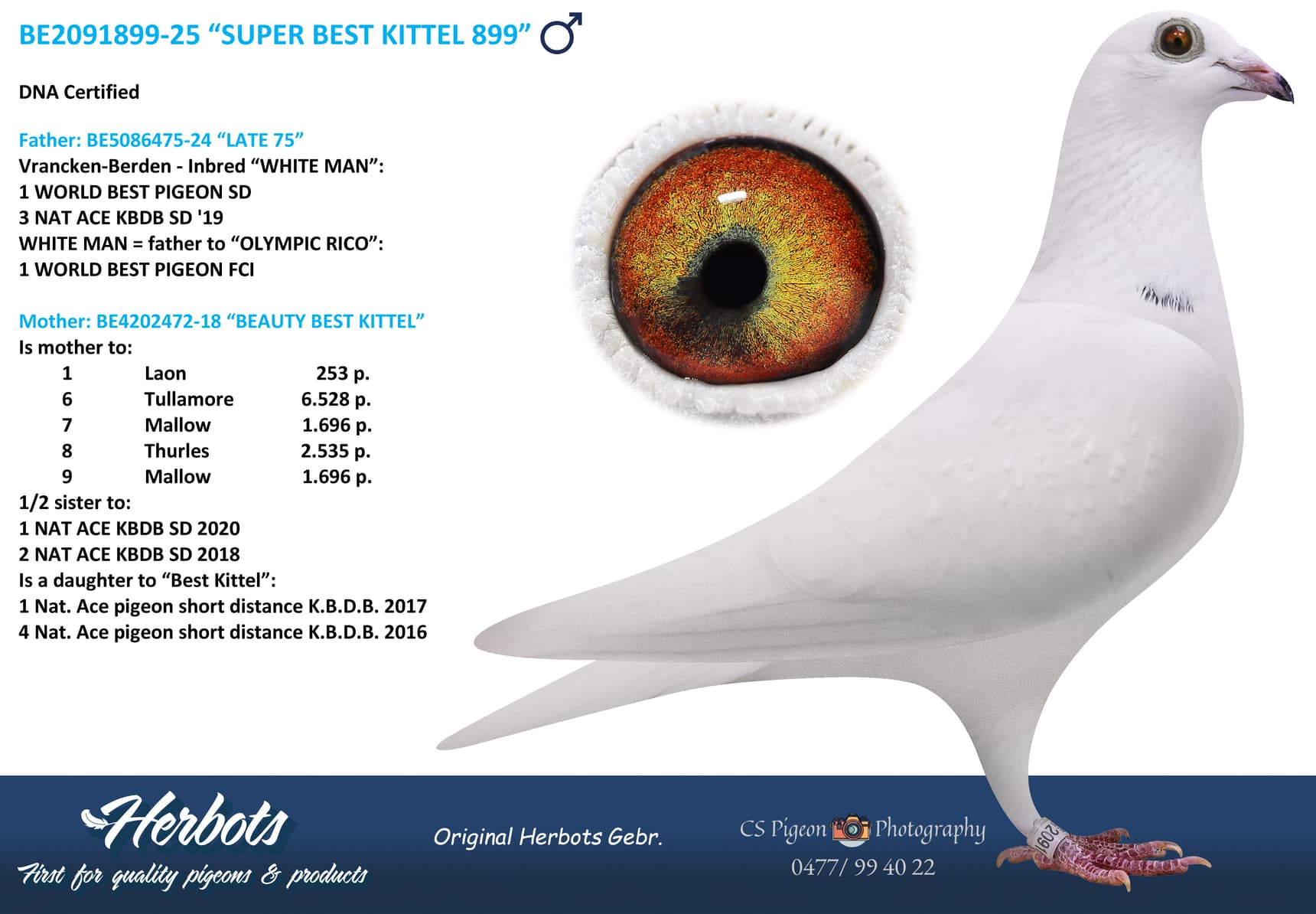 “SUPER BEST KITTEL 899”