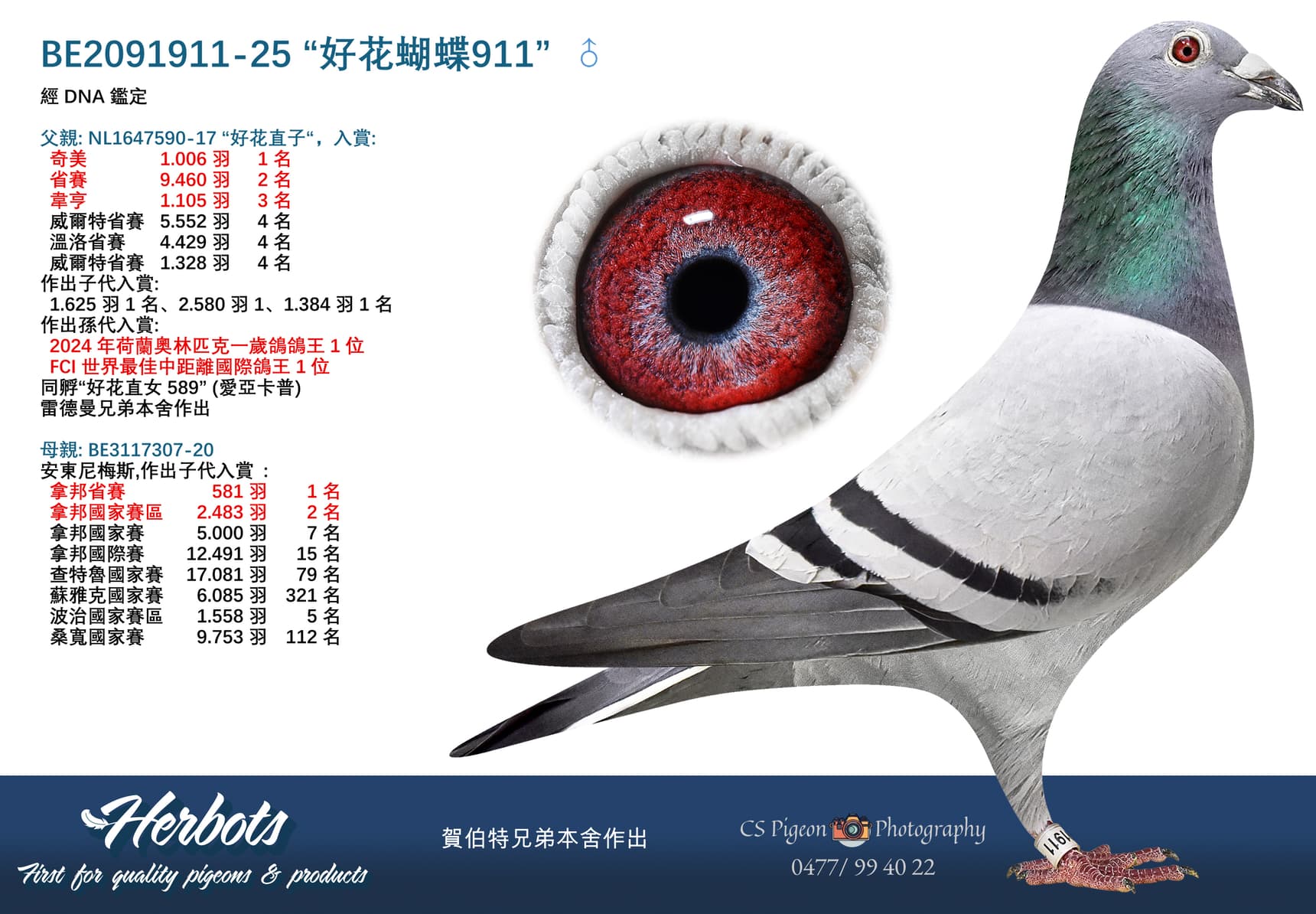 “好花蝴蝶911”