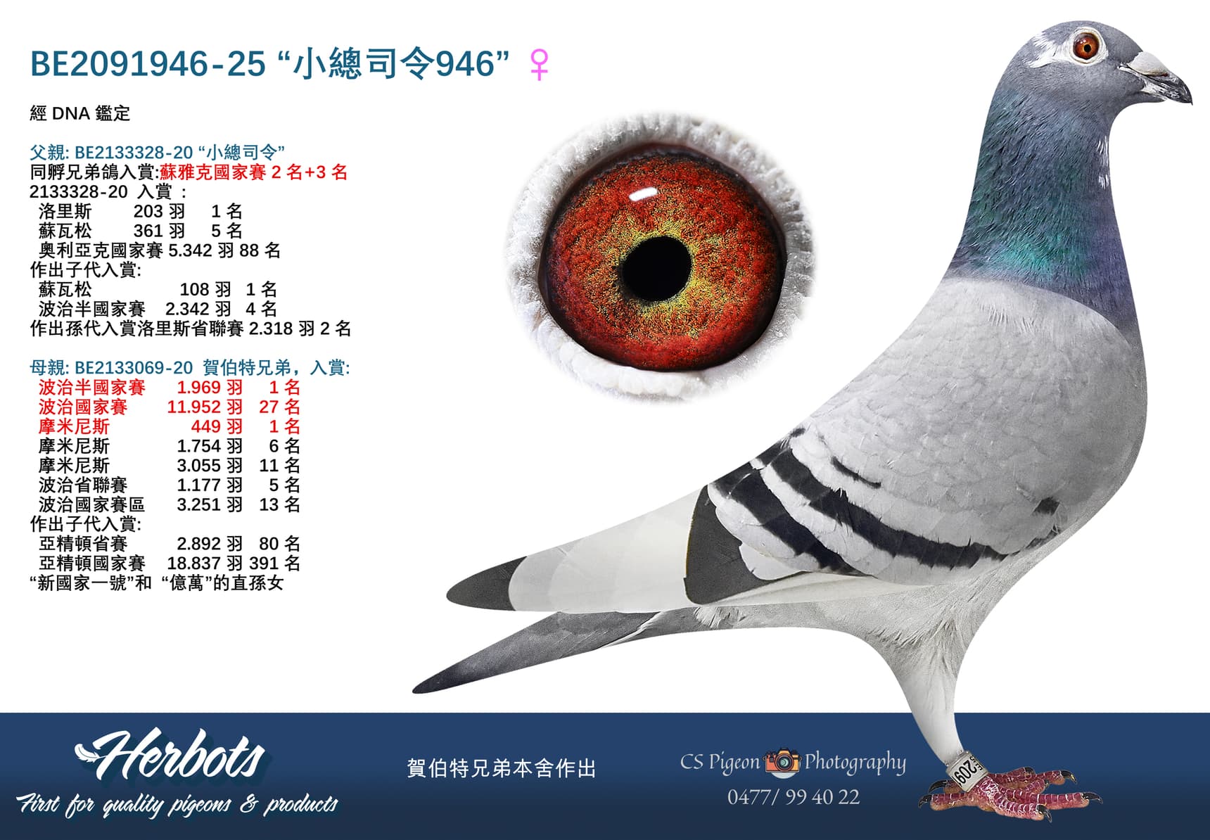 “小總司令946”