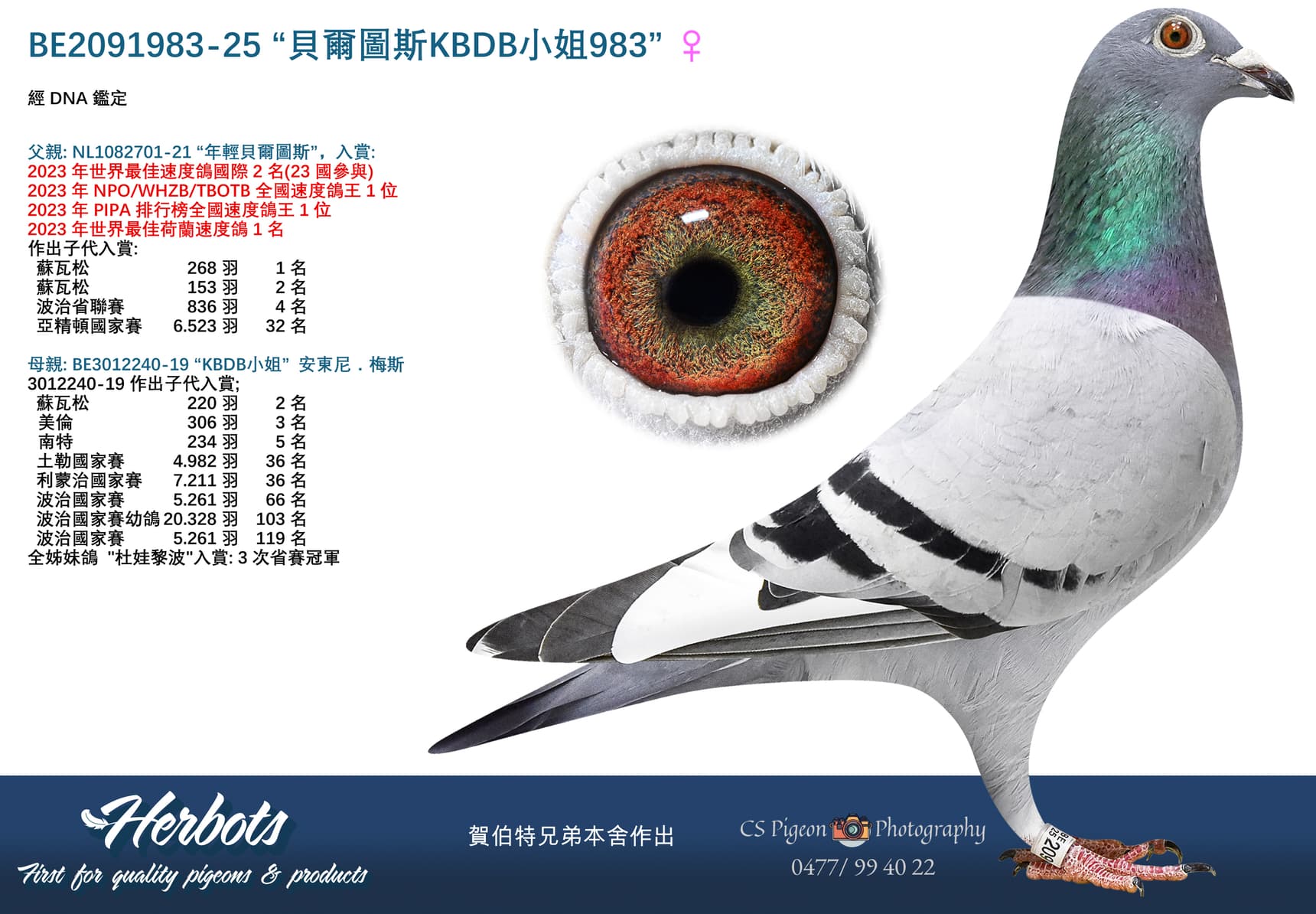 “貝爾圖斯KBDB小姐983”