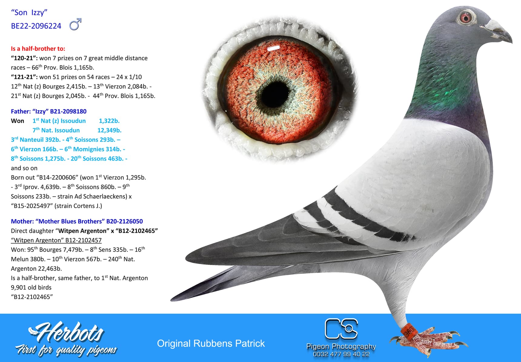 pigeon: undefined