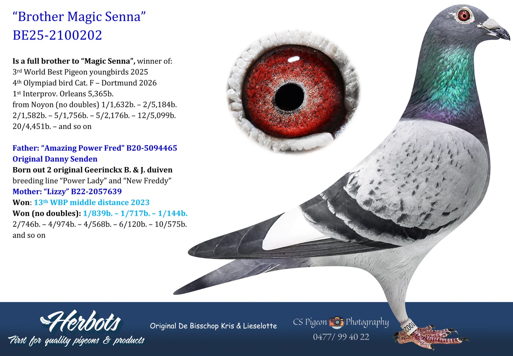 pigeon: undefined