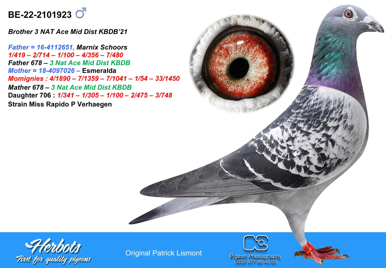 pigeon: Brother 3 Nat Ace MD