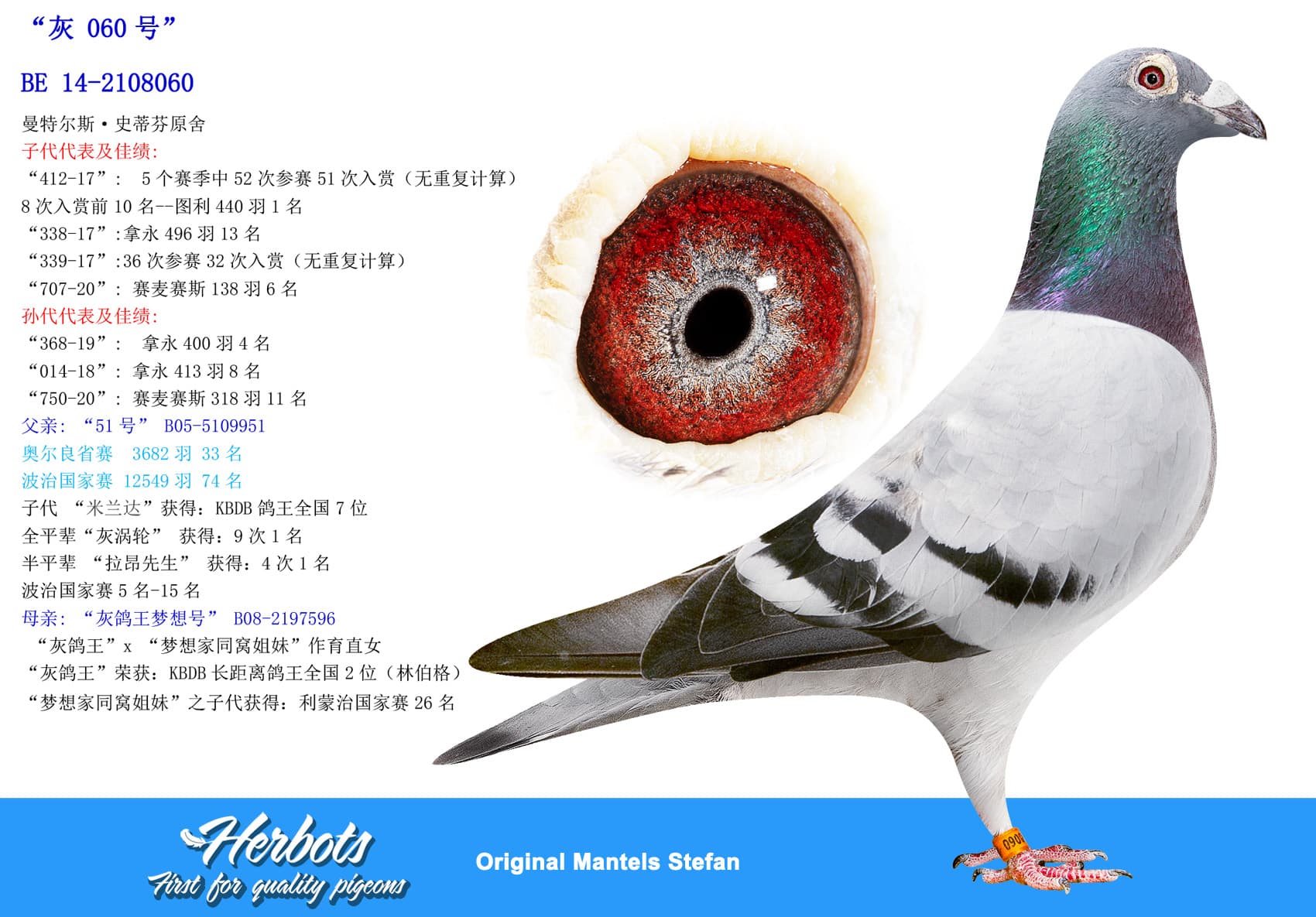 pigeon: undefined