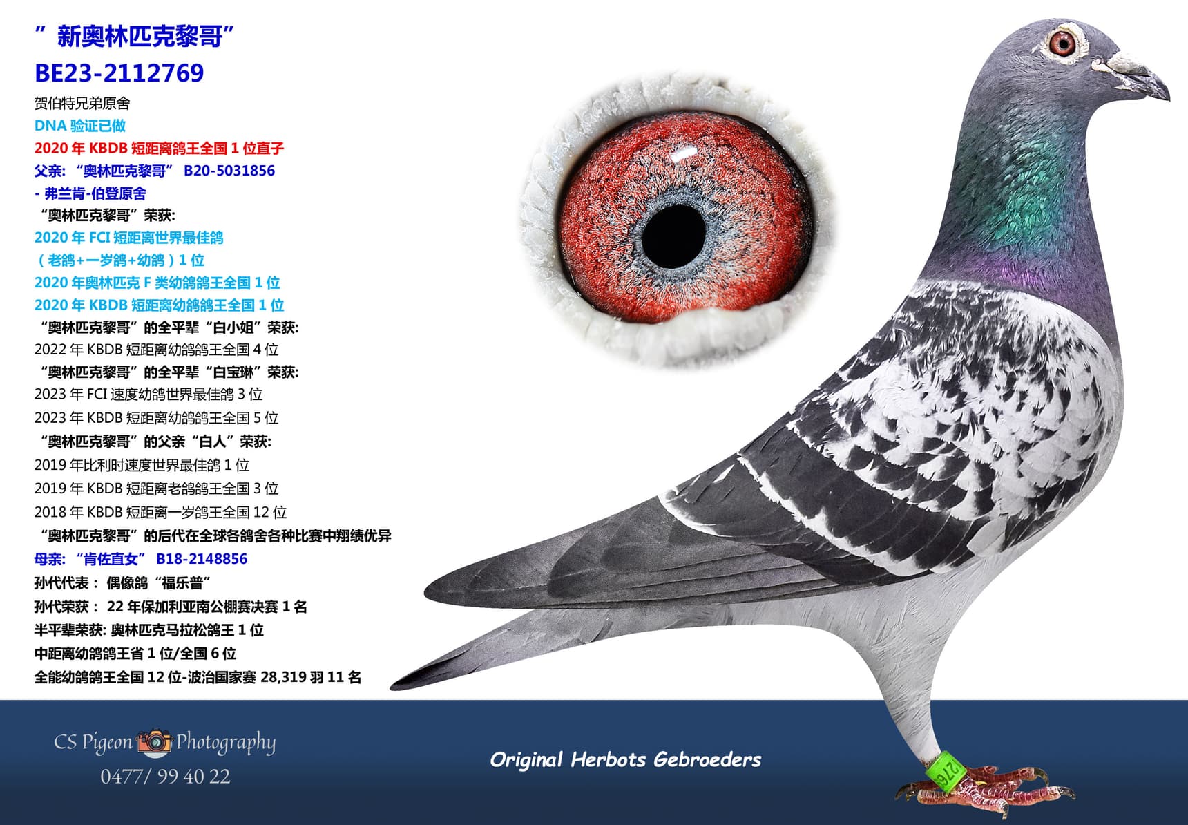 pigeon: undefined