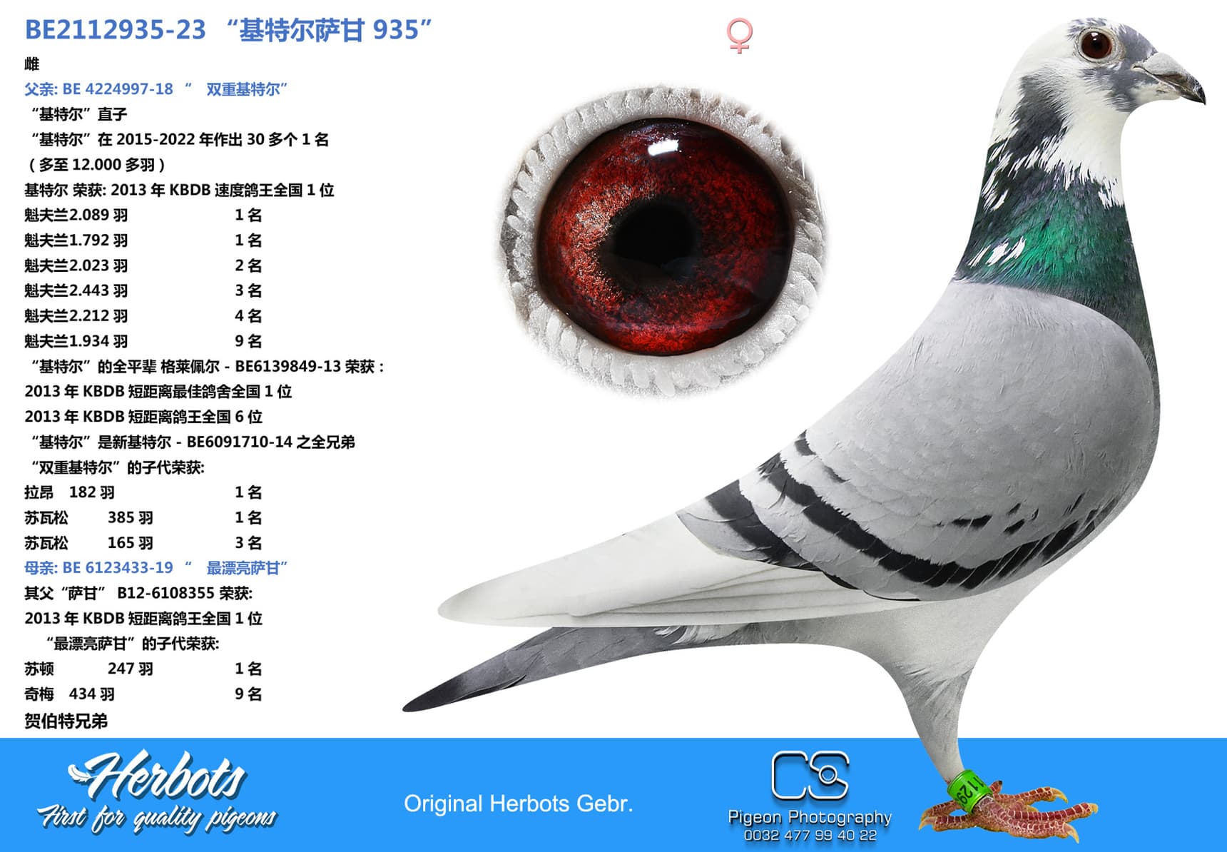 pigeon: “基特尔萨甘 935”