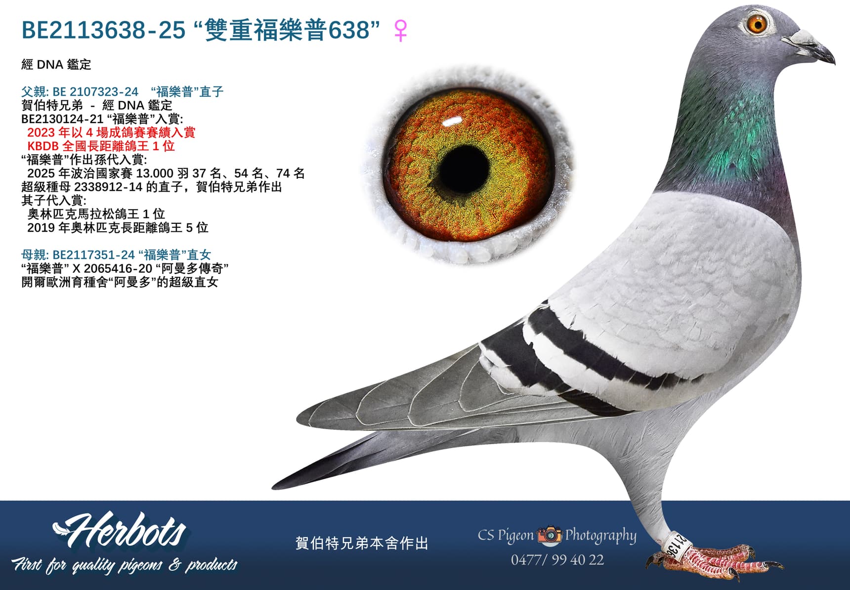 “雙重福樂普638”