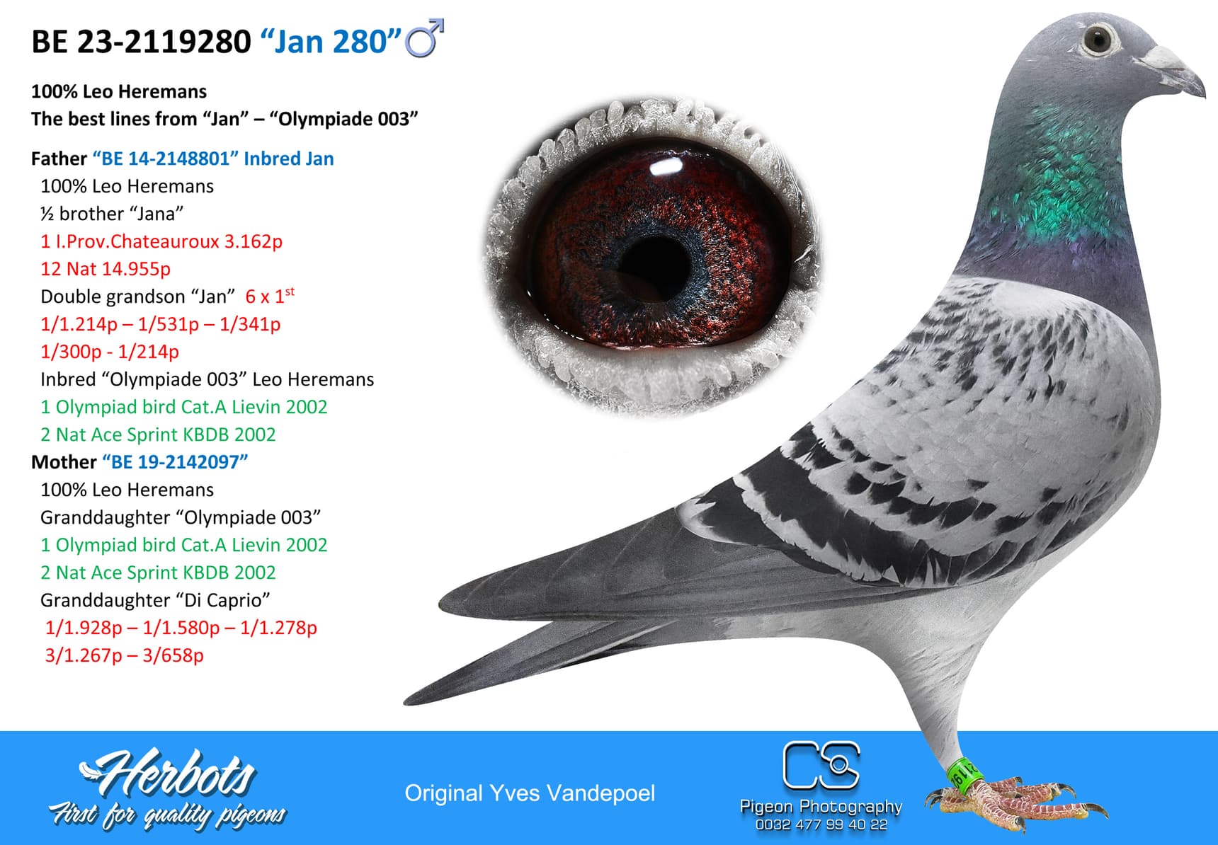 pigeon: “Jan 280”