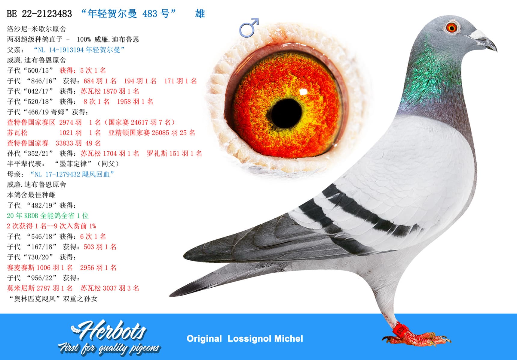 pigeon: undefined