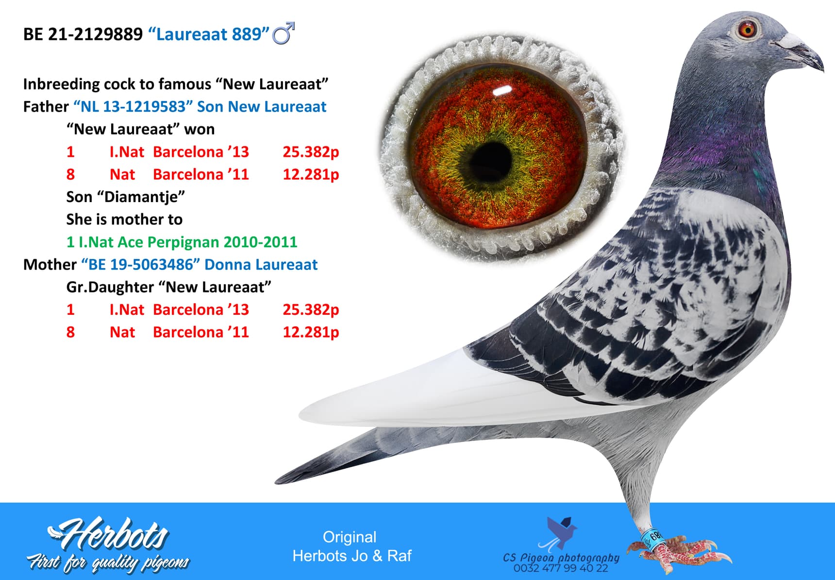 pigeon: “Laureaat 889”