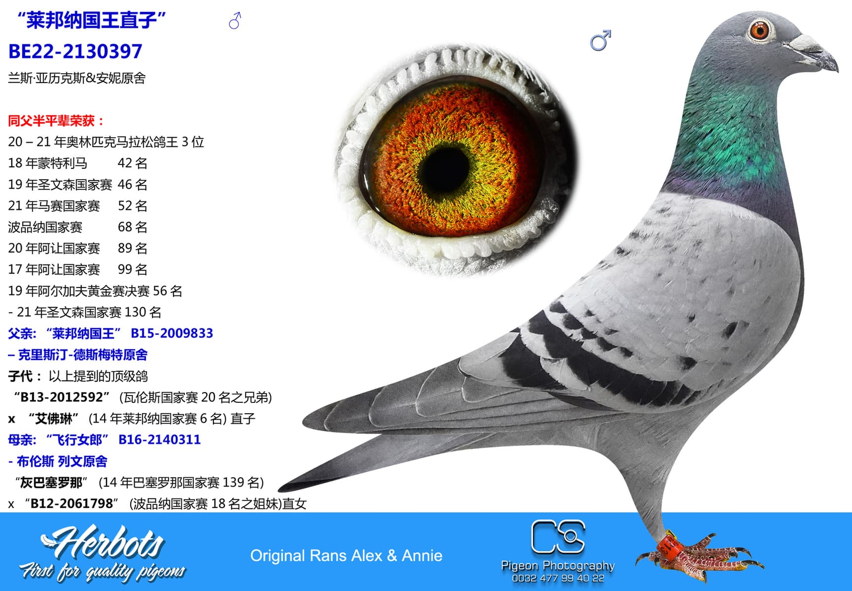 pigeon: “莱邦纳国王直子”