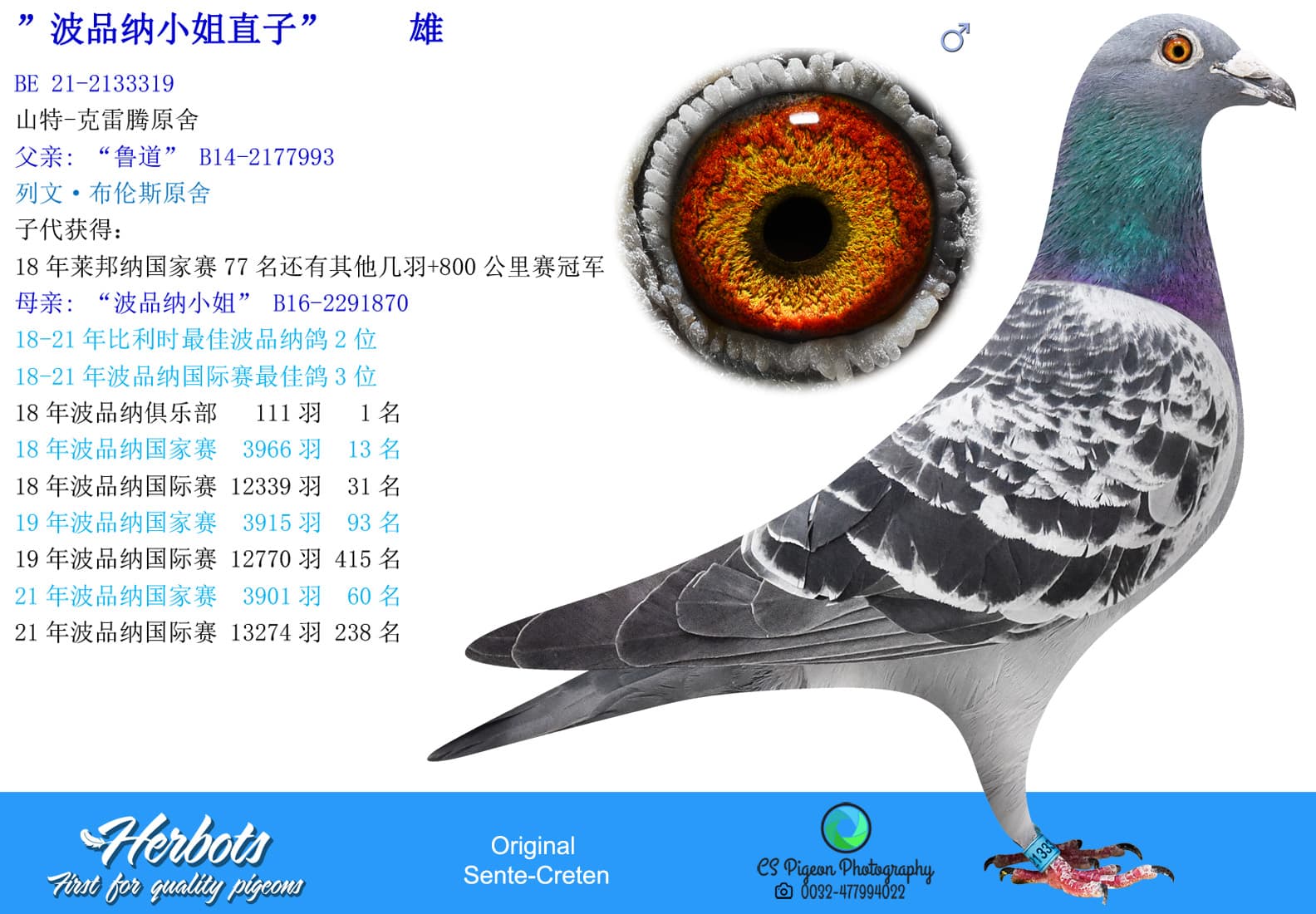 pigeon: undefined