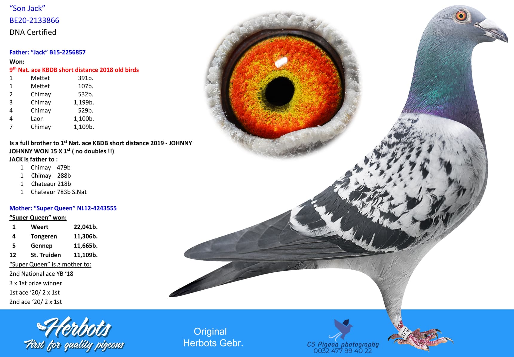 pigeon: “Son Jack”