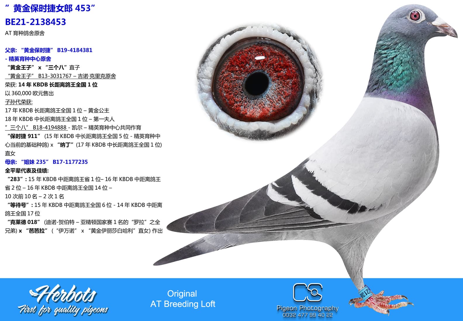 pigeon: undefined