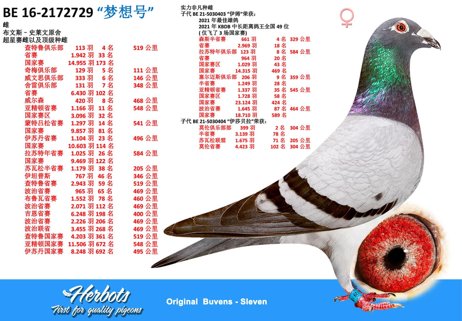 pigeon: undefined