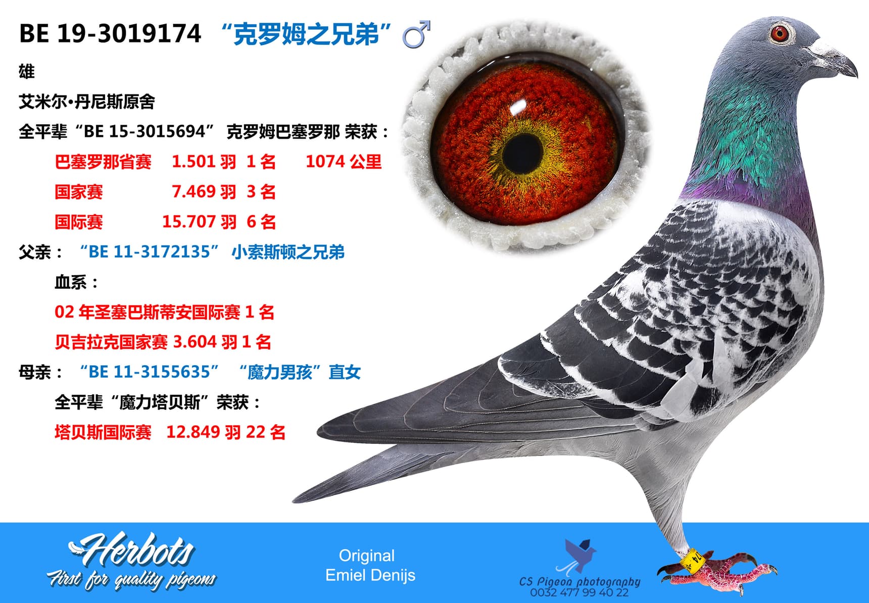 pigeon: undefined