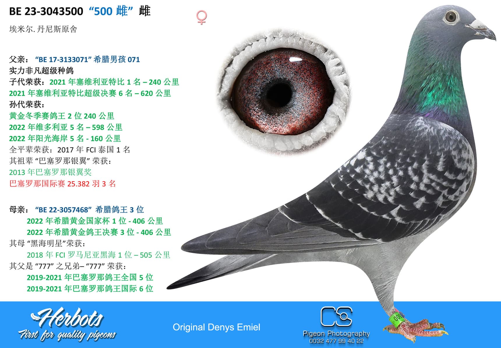 pigeon: undefined