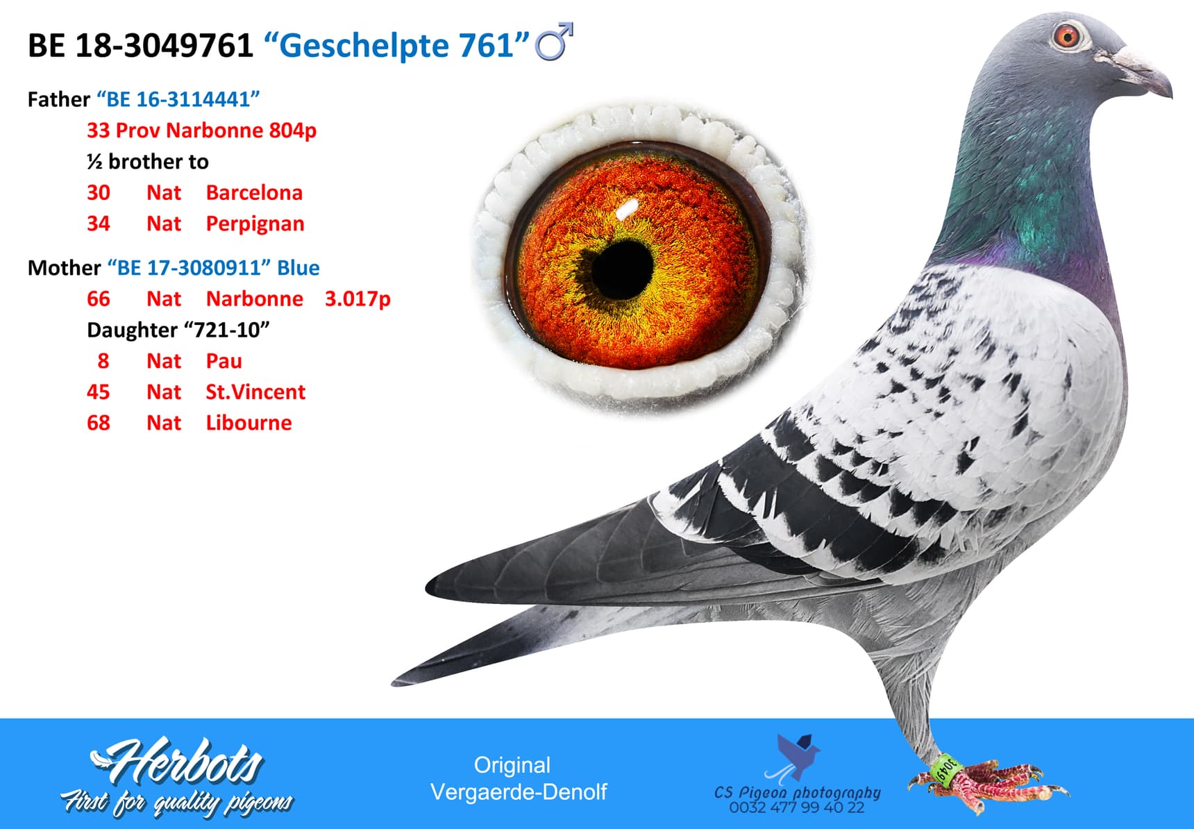 pigeon: undefined