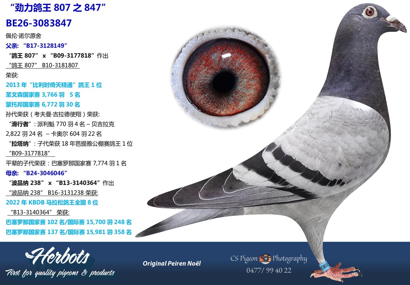 pigeon: undefined