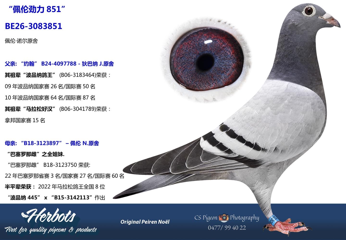 pigeon: undefined
