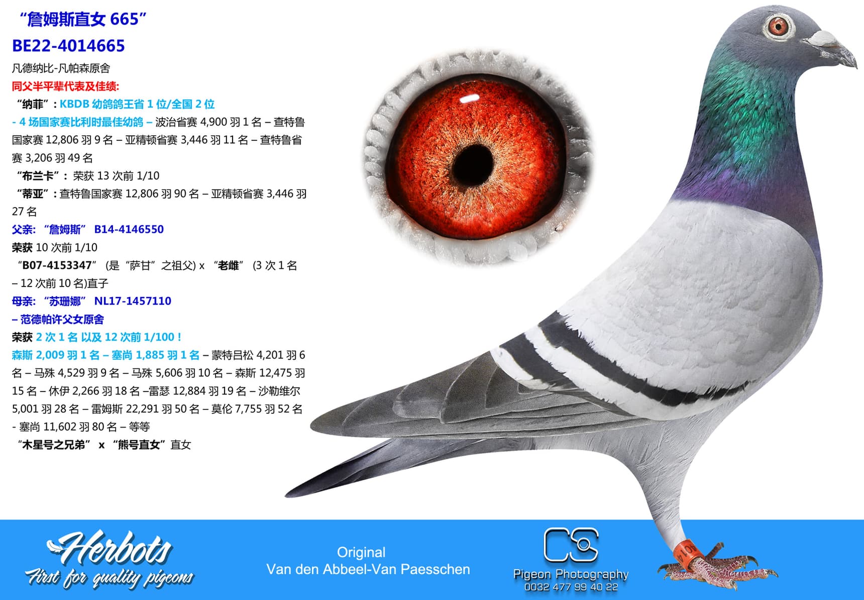 pigeon: “詹姆斯直女665”