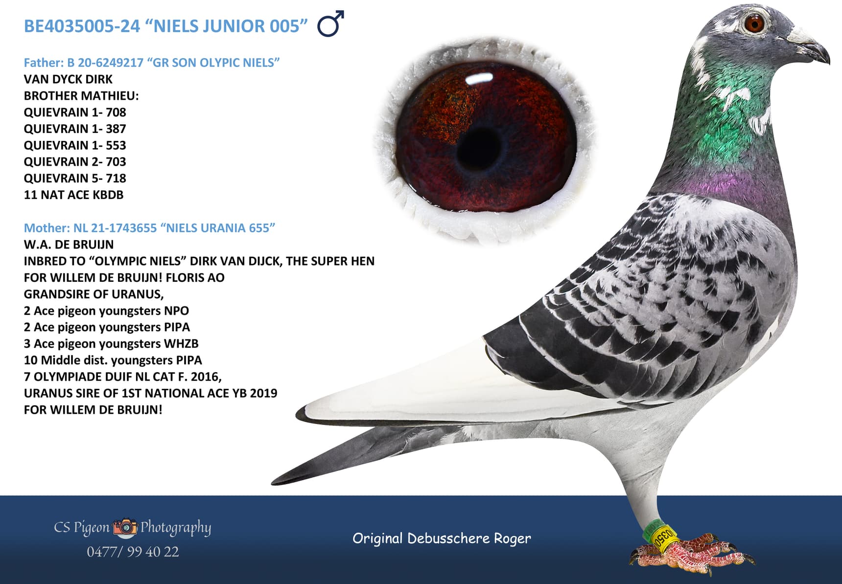 “NIELS JUNIOR 005”