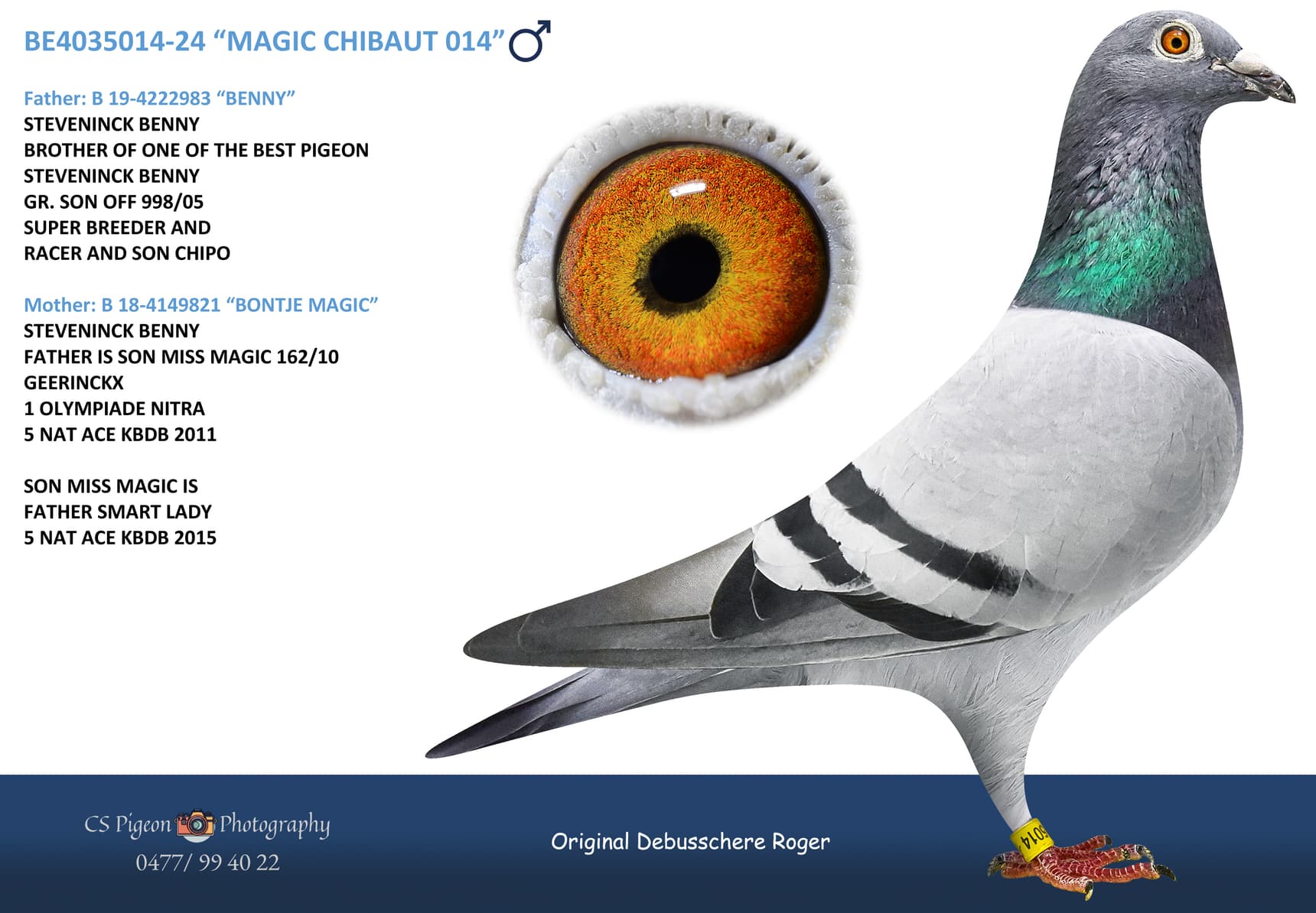 “MAGIC CHIBAUT 014”