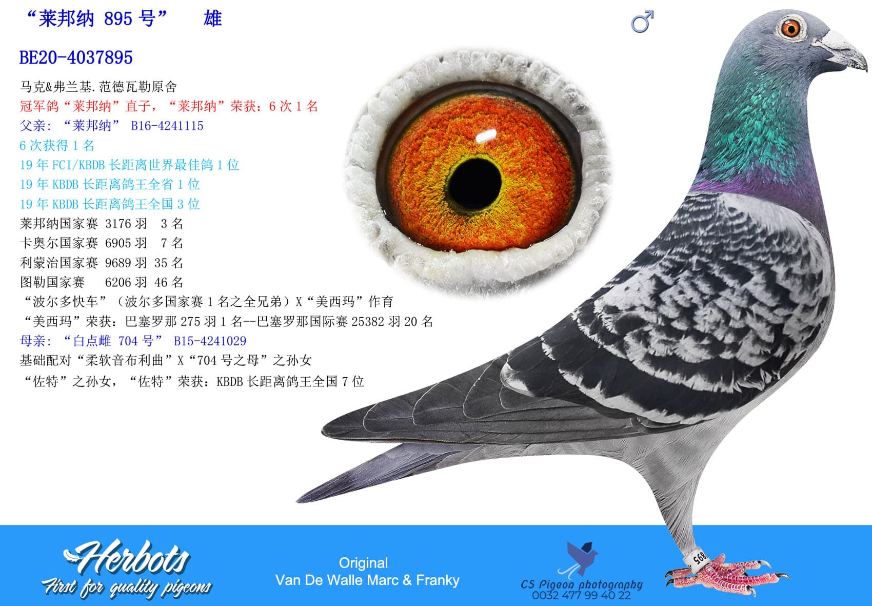 pigeon: “莱邦纳 895号”