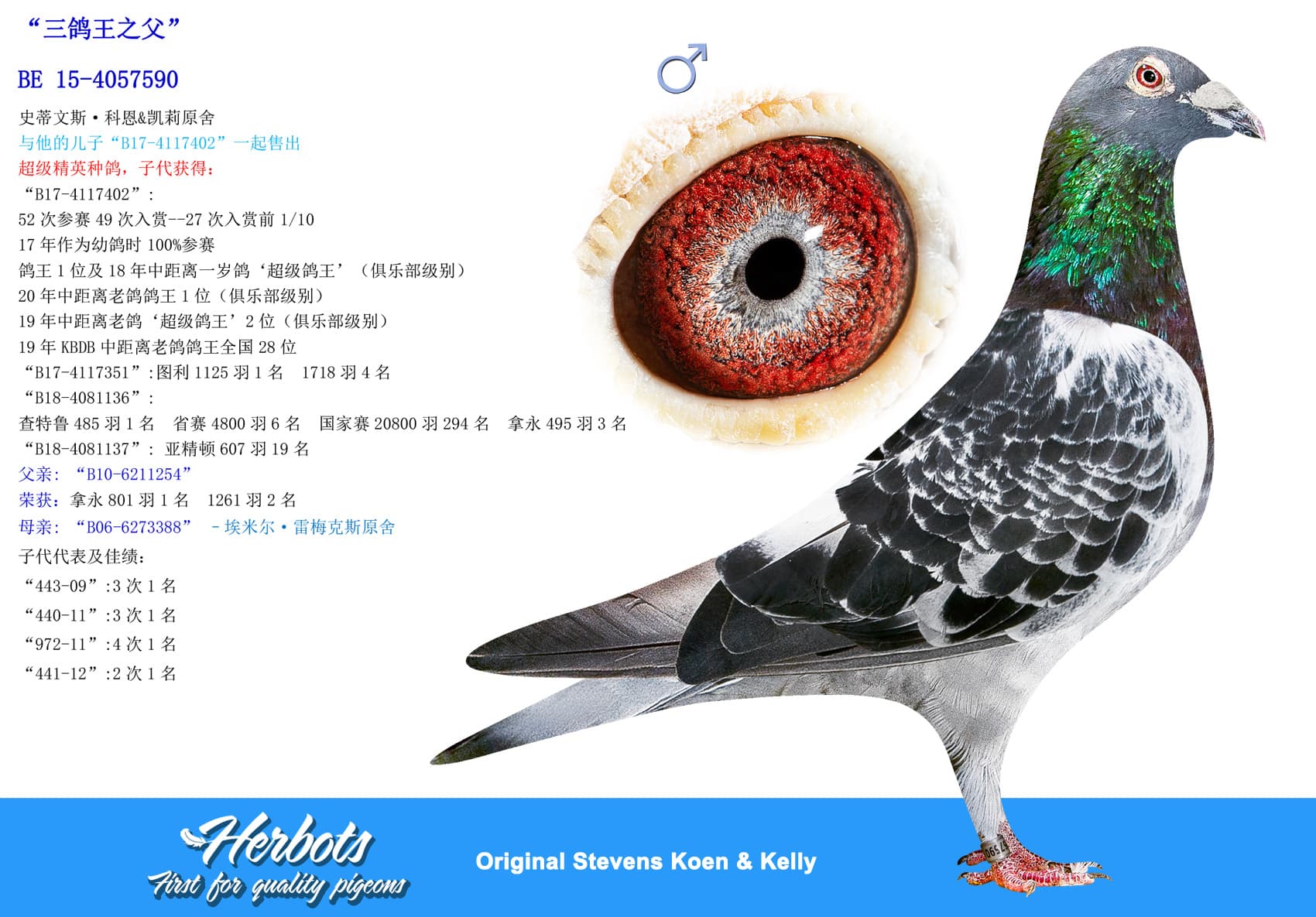 pigeon: undefined