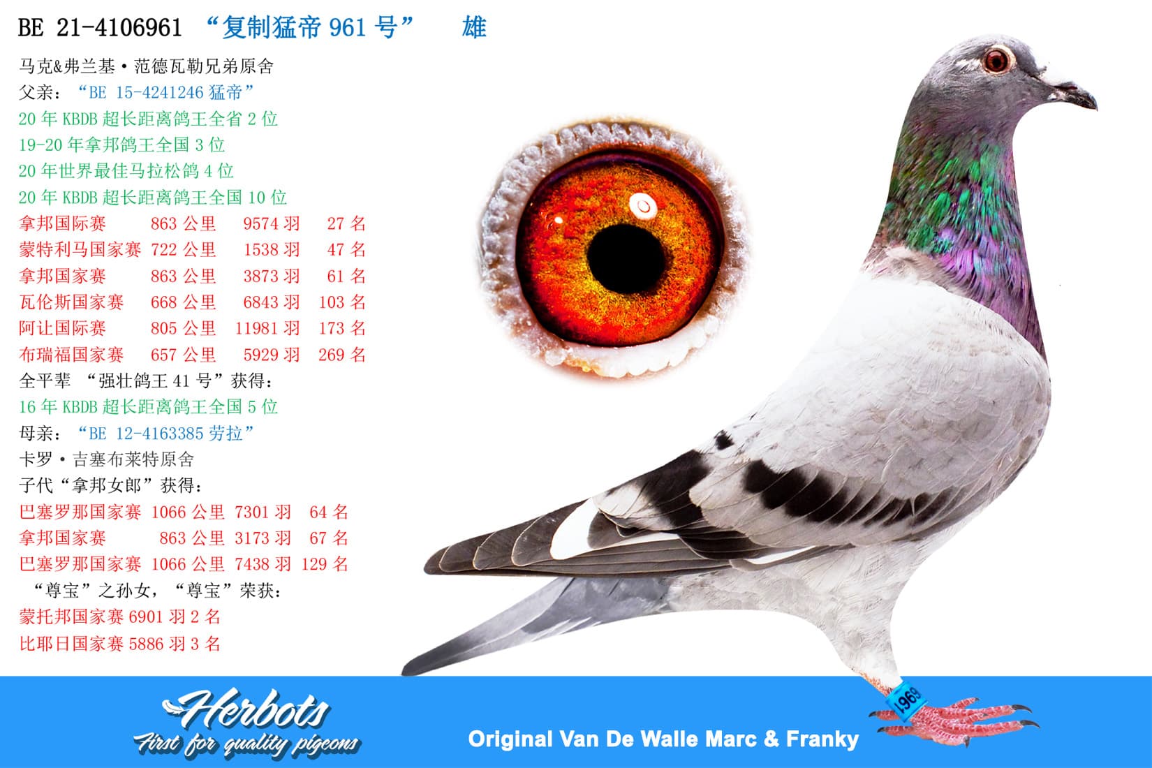 pigeon: undefined