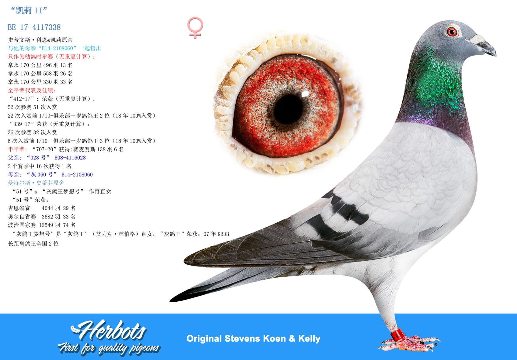 pigeon: undefined