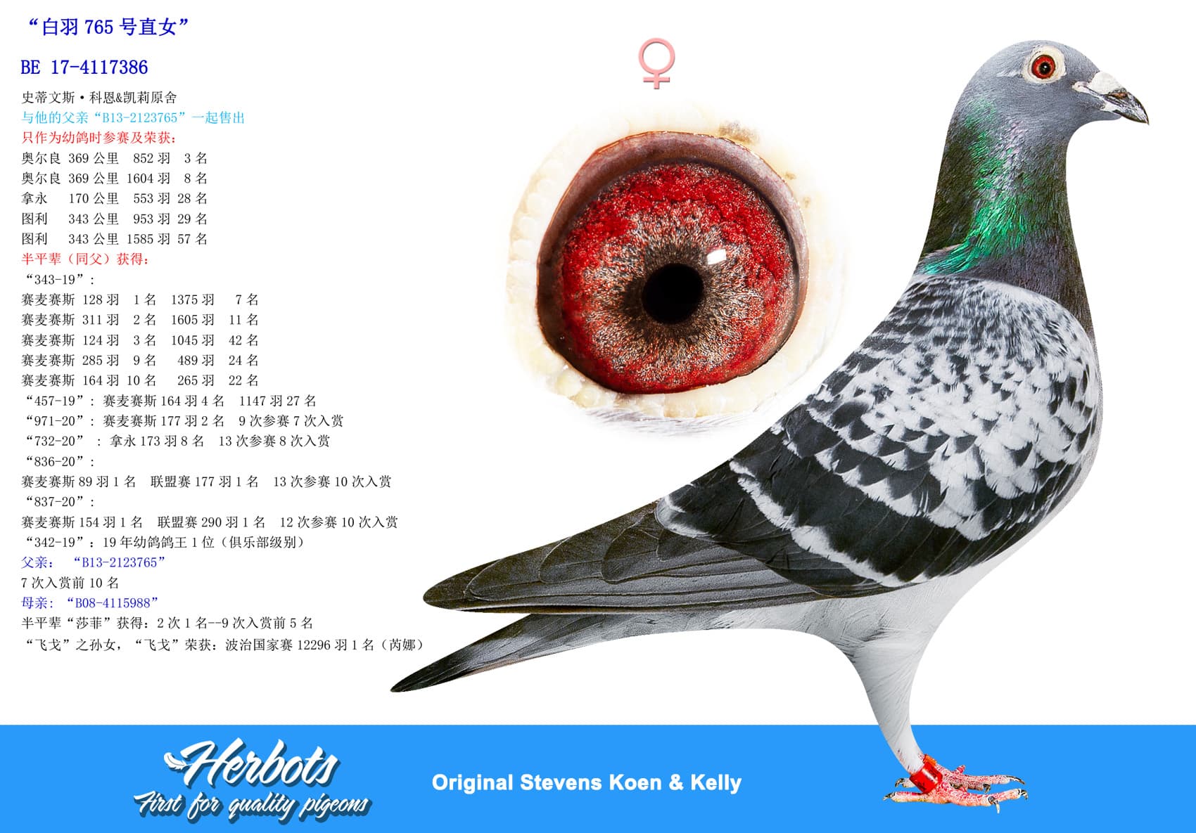 pigeon: undefined