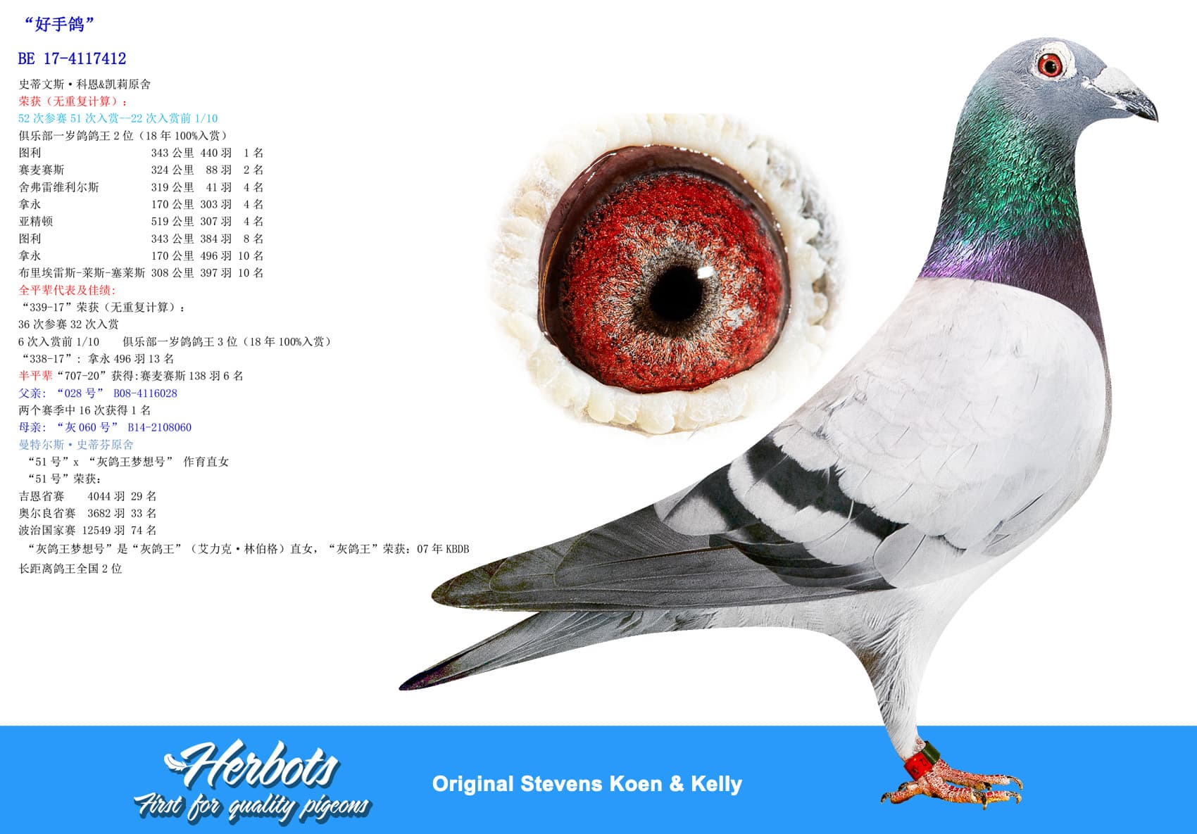pigeon: undefined