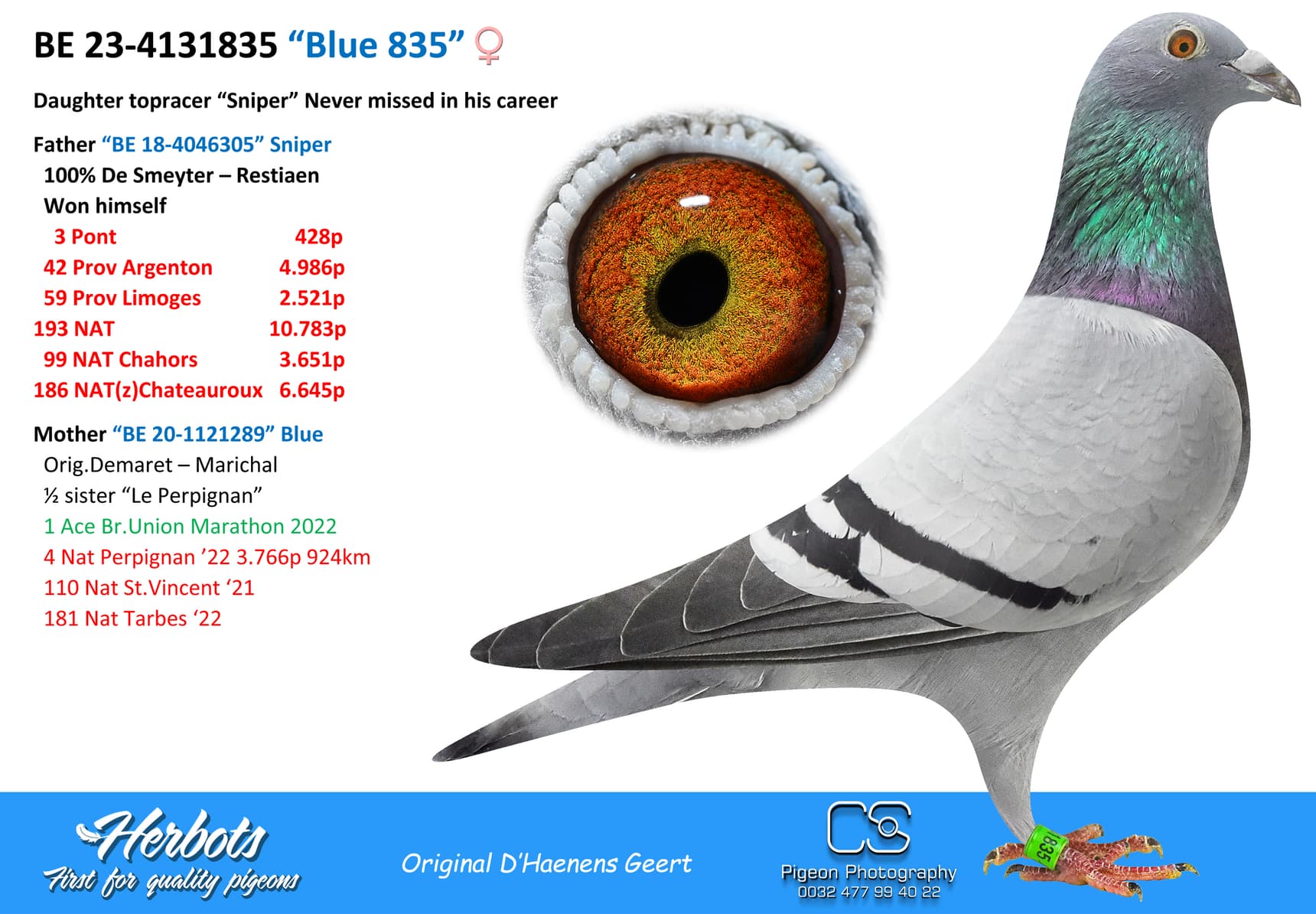 pigeon: “Blue 835”