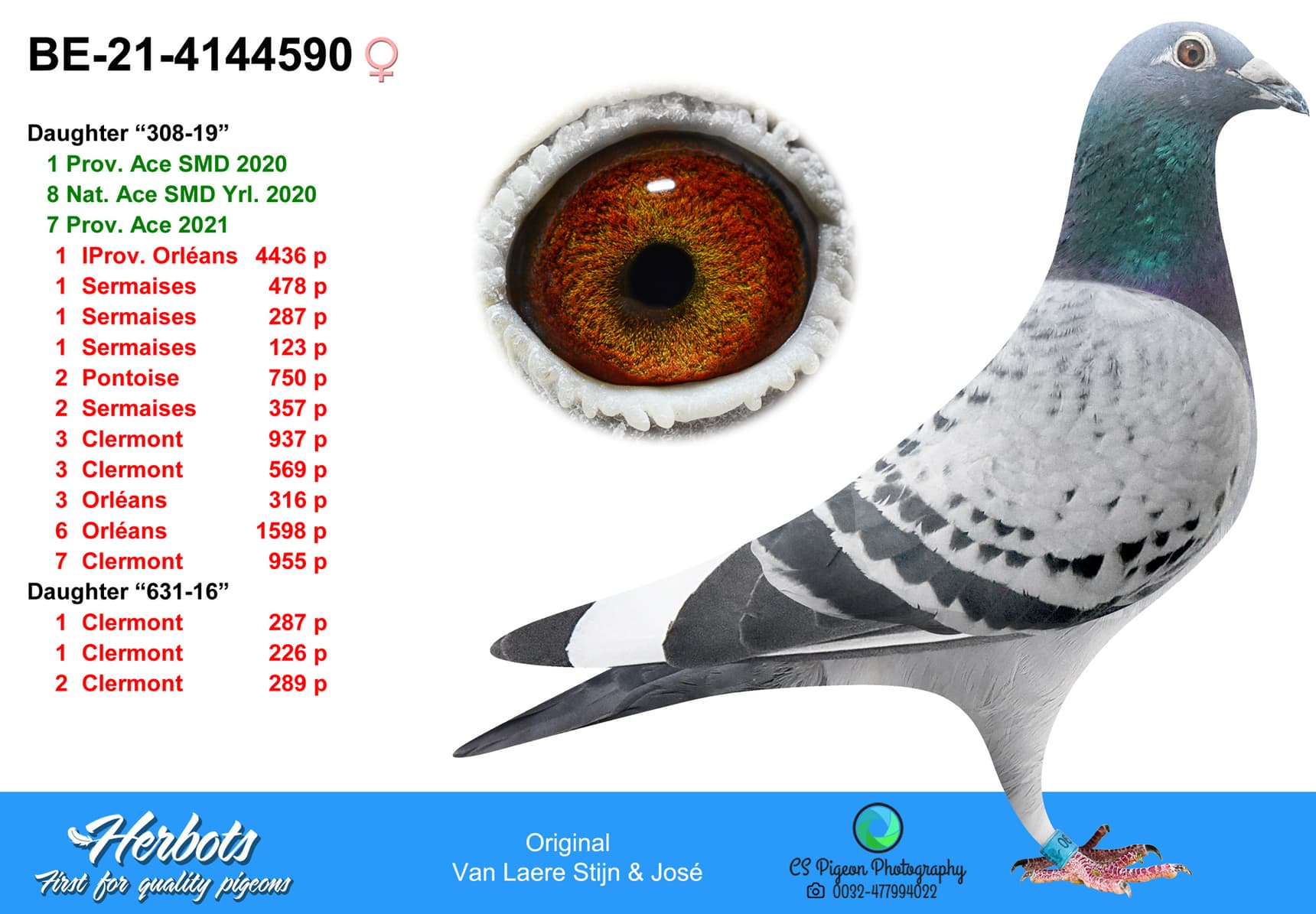 pigeon: undefined
