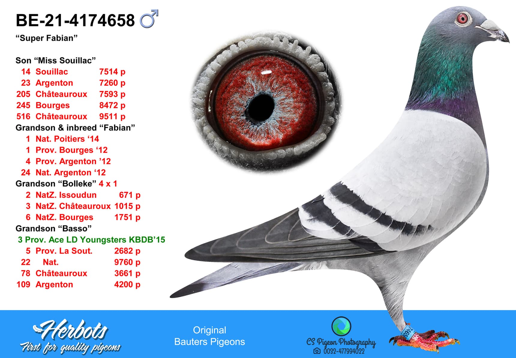 pigeon: undefined