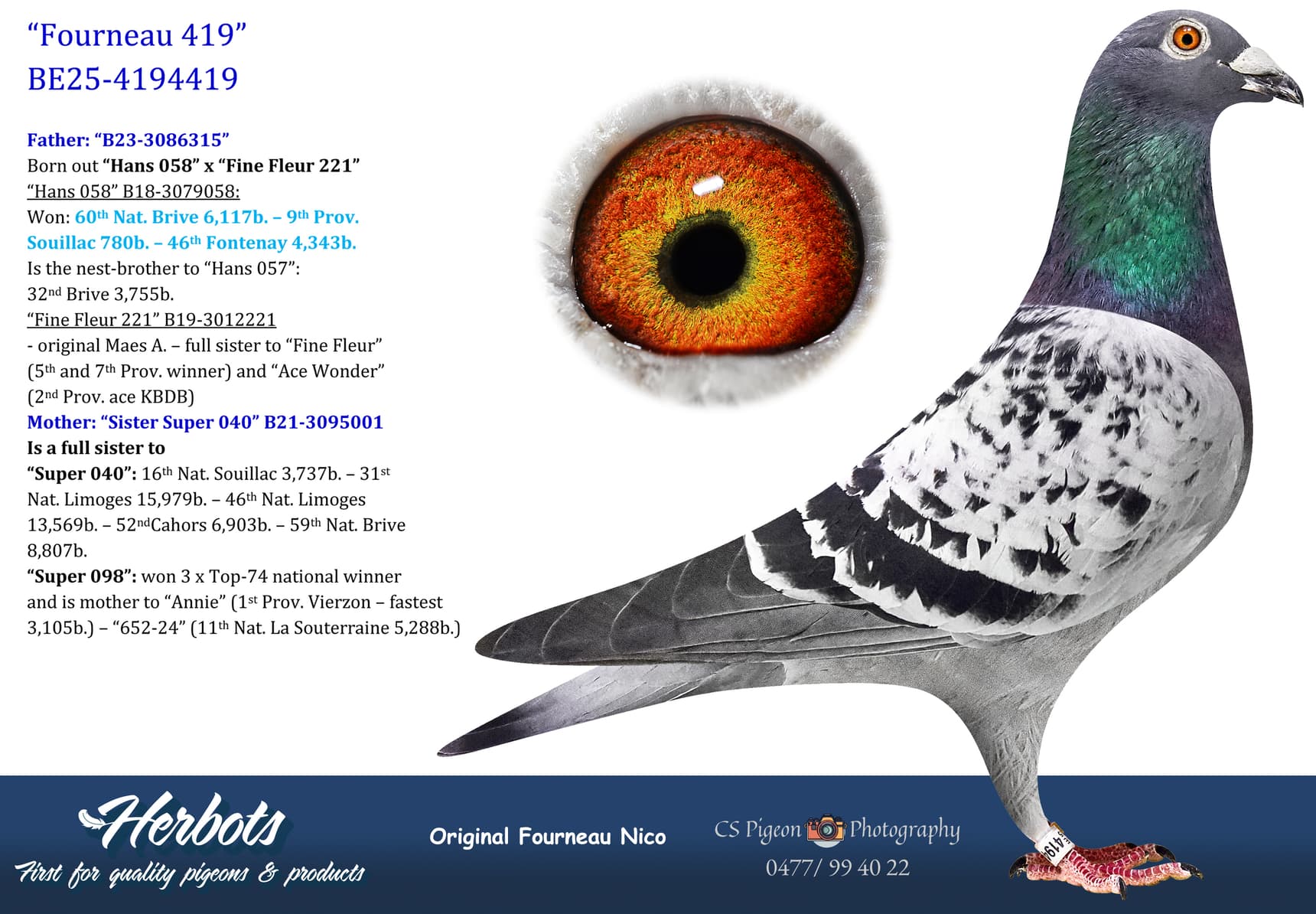 pigeon: undefined