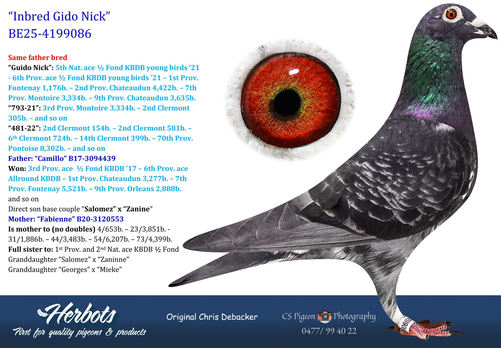 pigeon: undefined