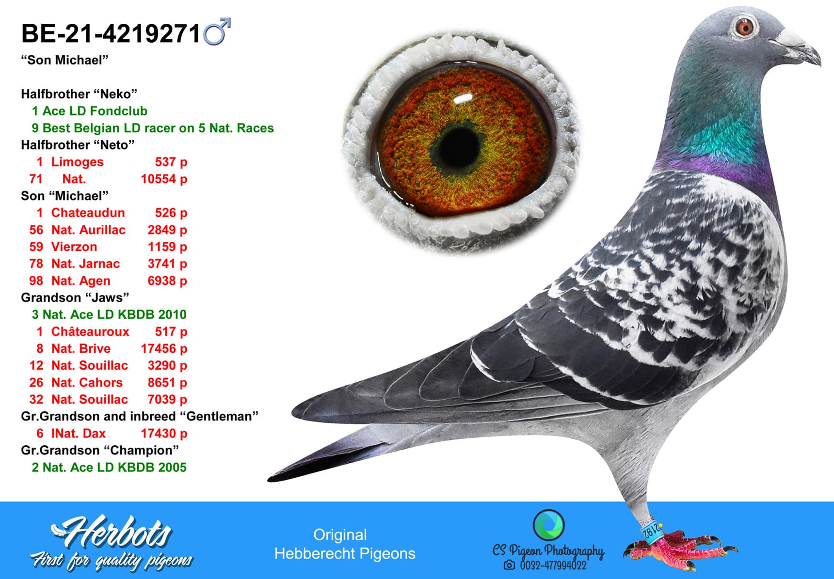pigeon: undefined