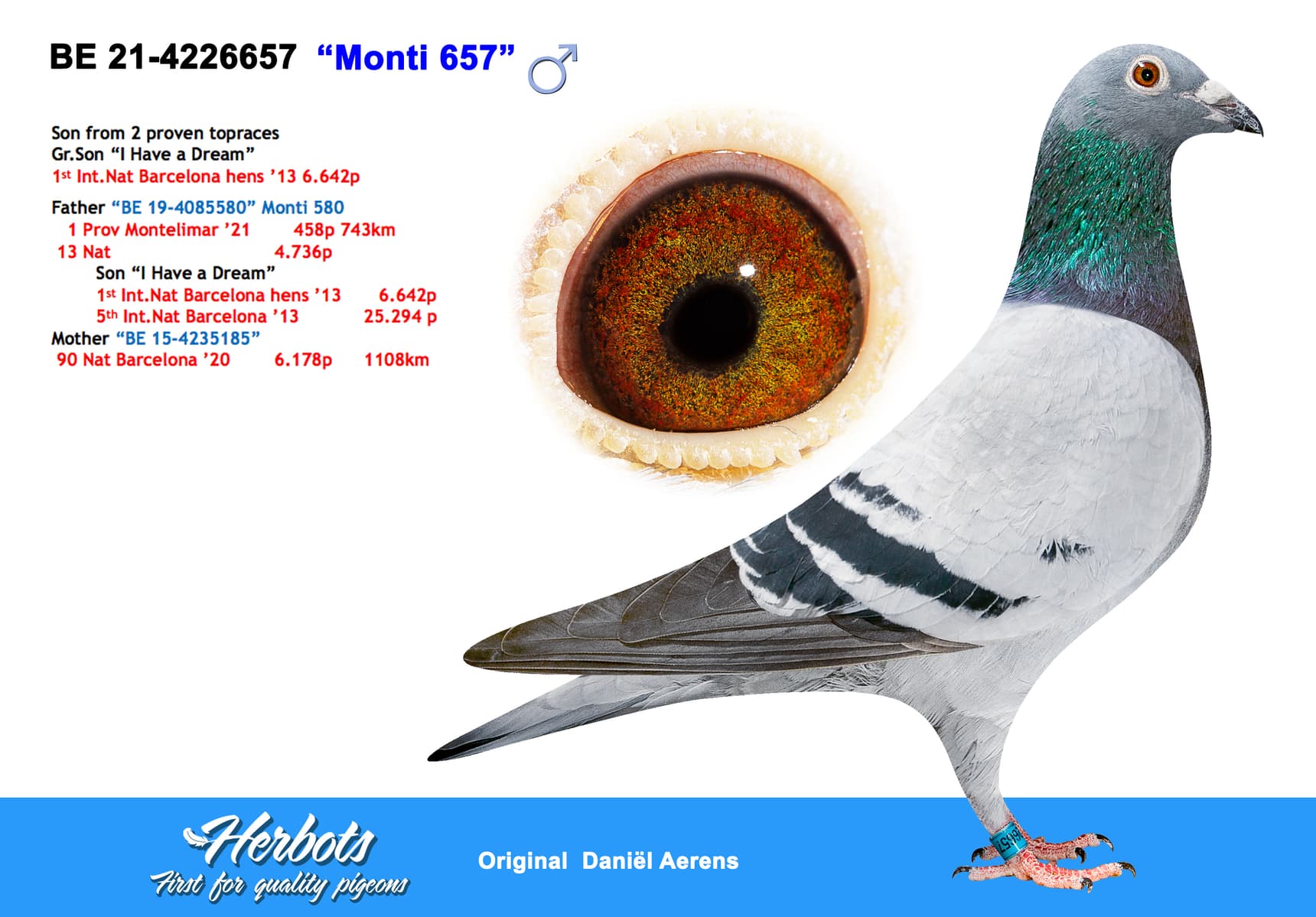 pigeon: undefined