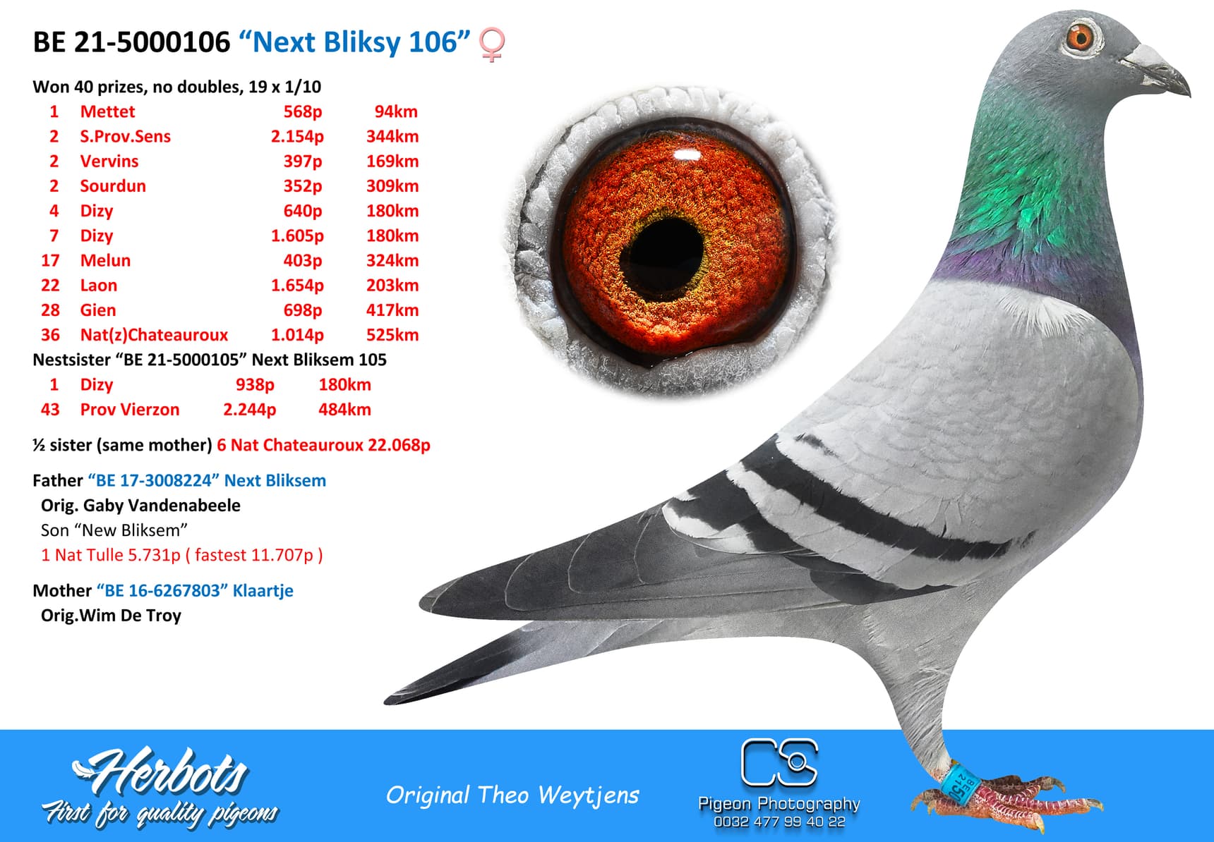 pigeon: “Next Bliksy 106”