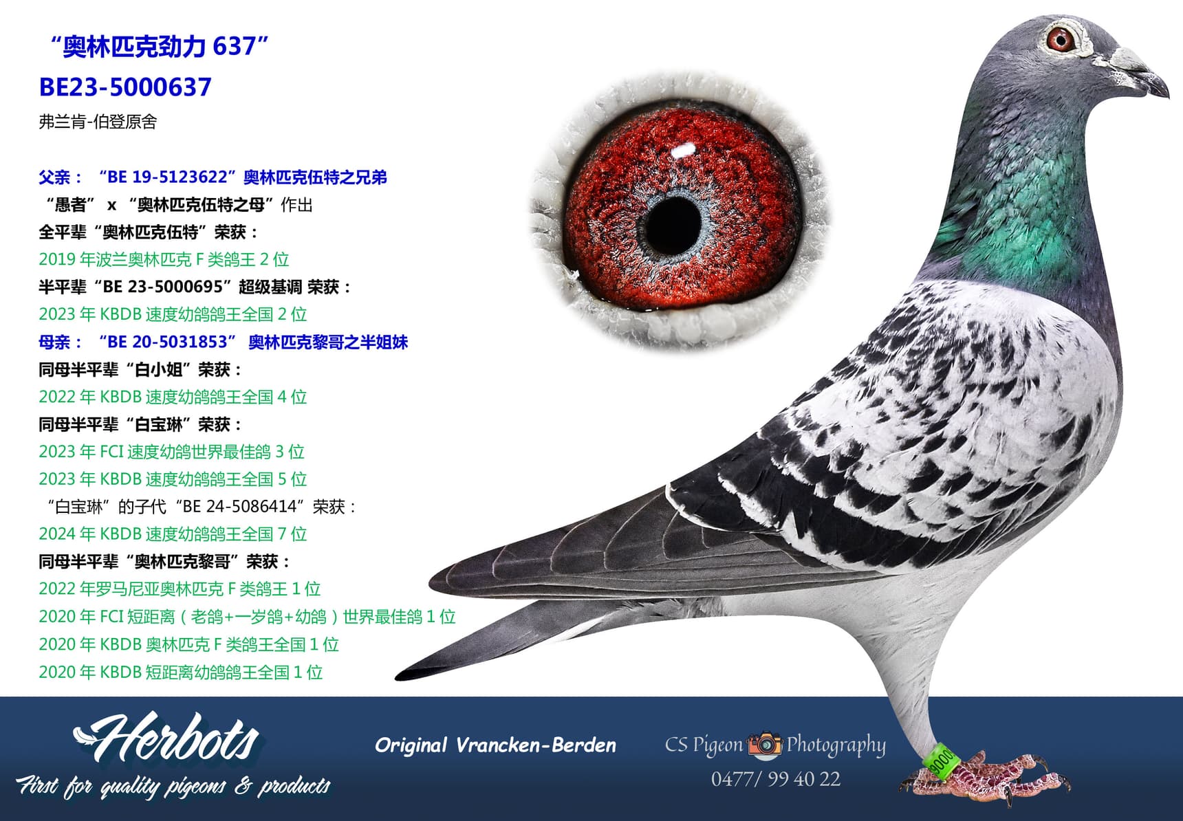 pigeon: undefined