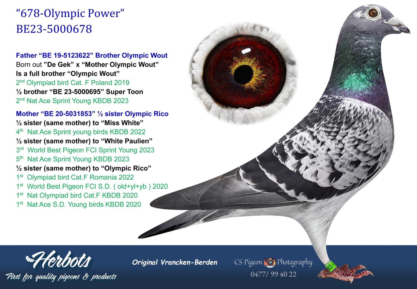 pigeon: undefined