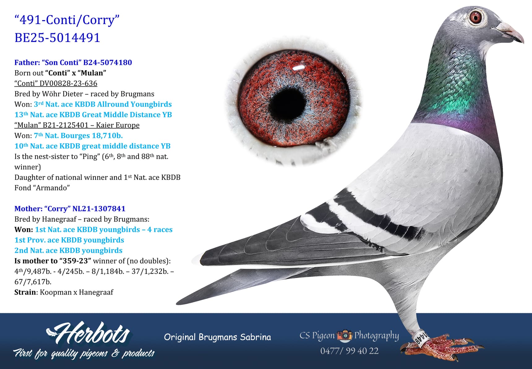 pigeon: undefined