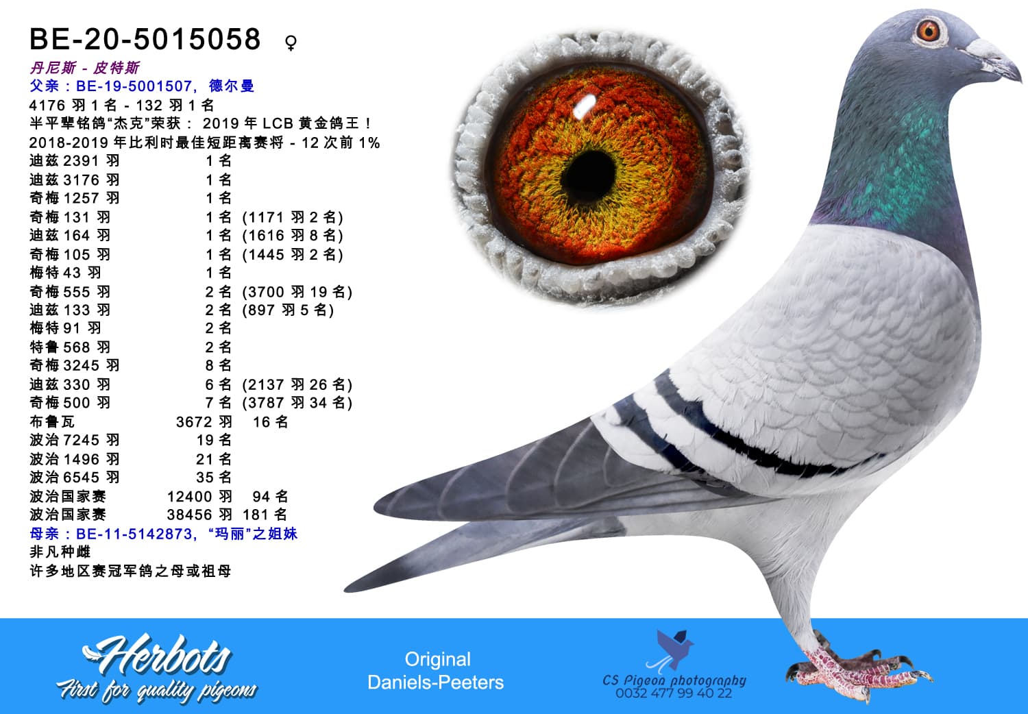 pigeon: undefined