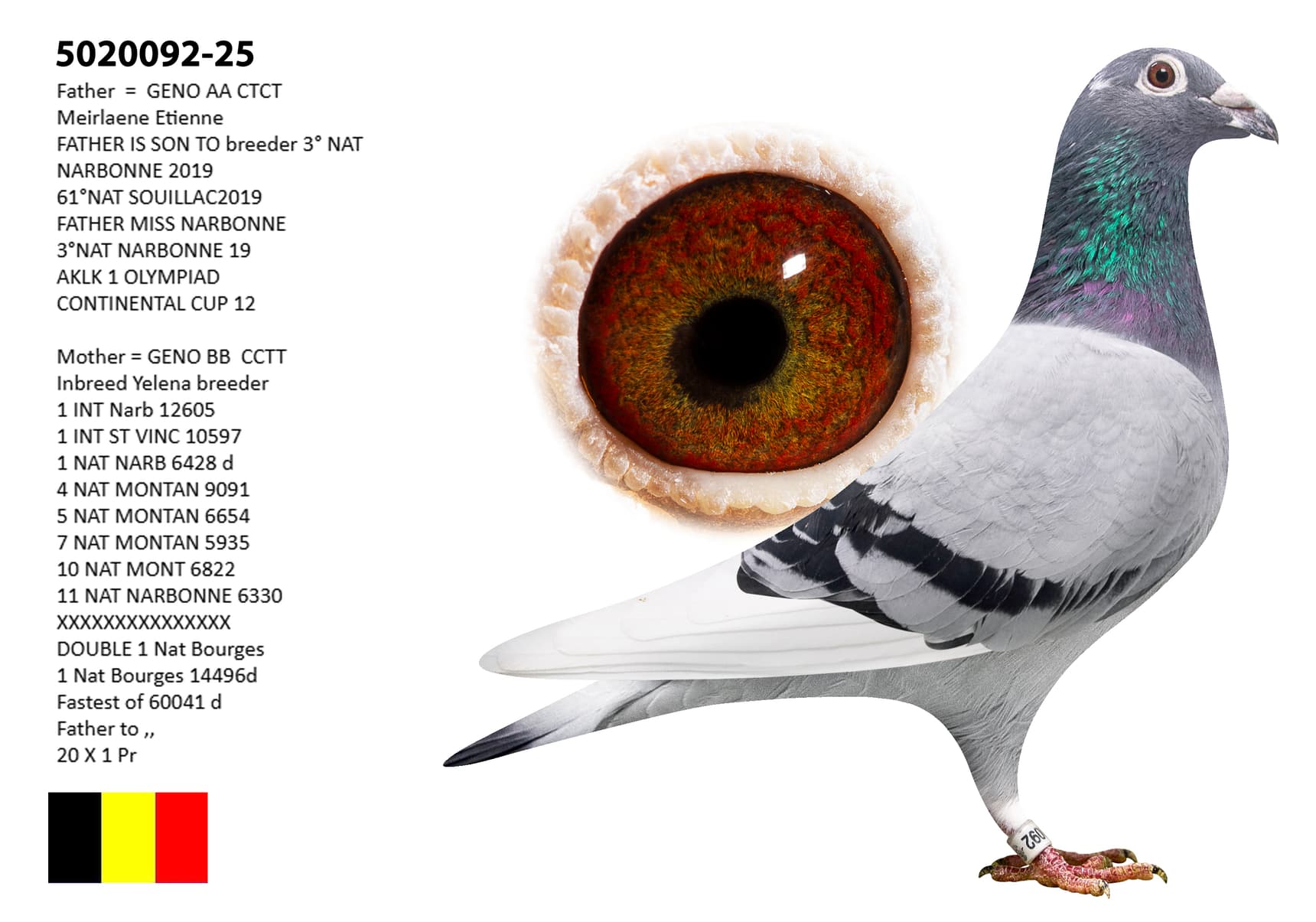 "Meirlaen Yelena 092"