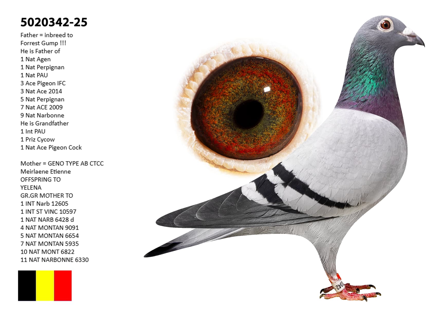 Forrest Gump x Meirlaen