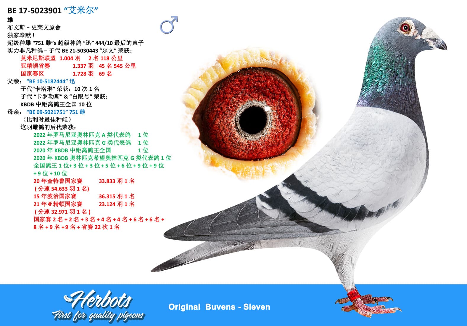 pigeon: undefined
