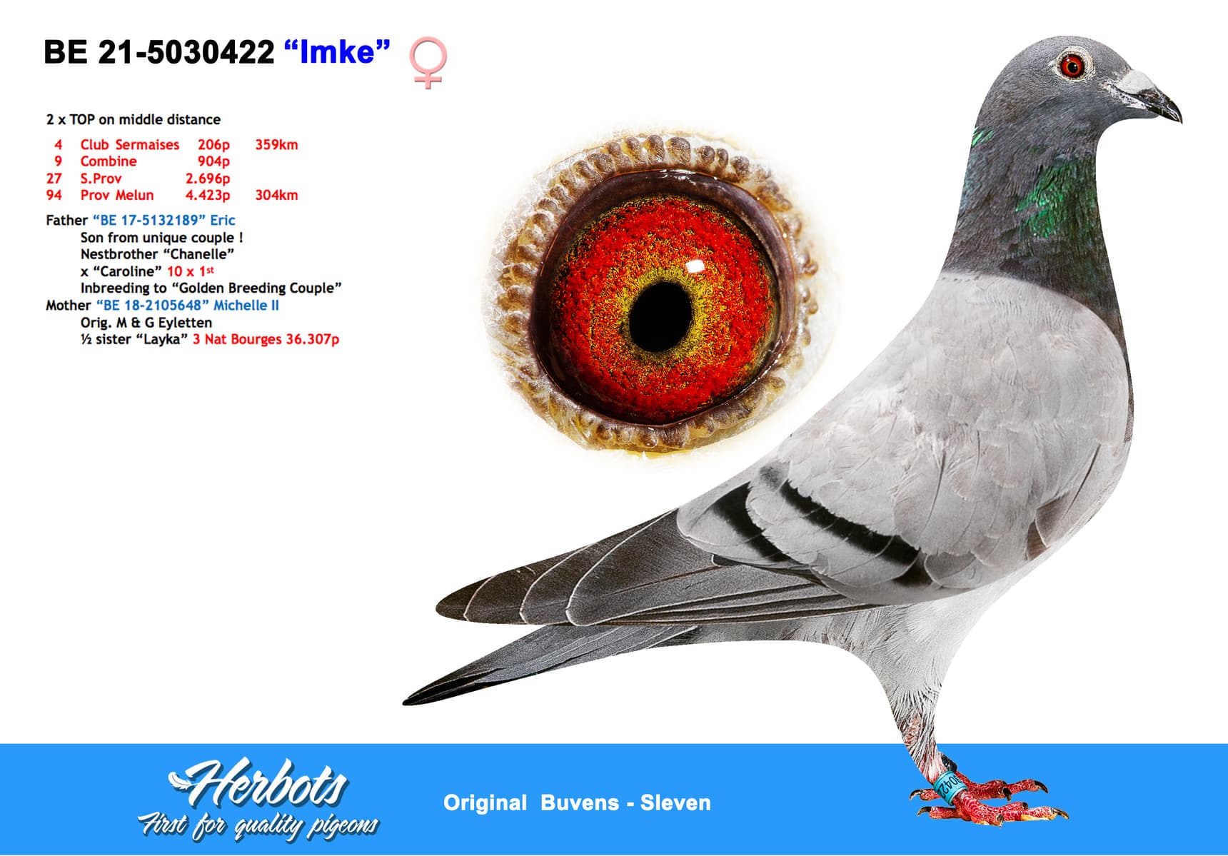 pigeon: undefined