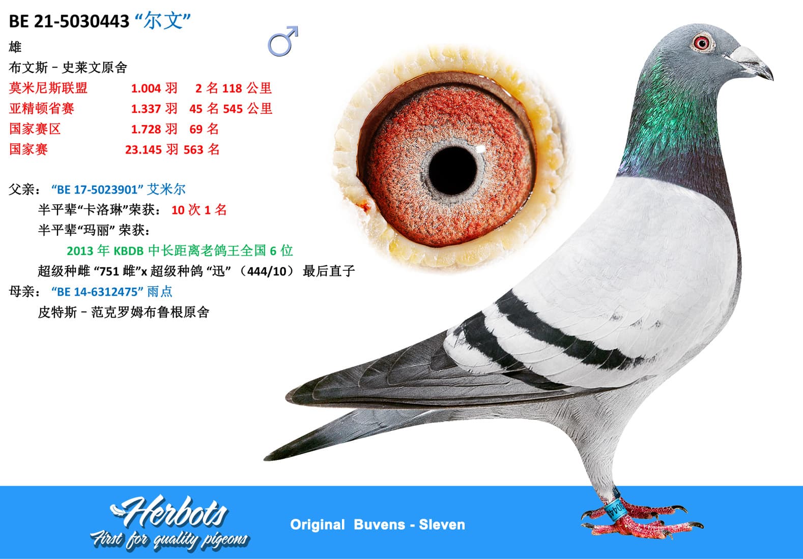 pigeon: undefined